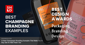 BEST DESIGN AWARD by DesignRush